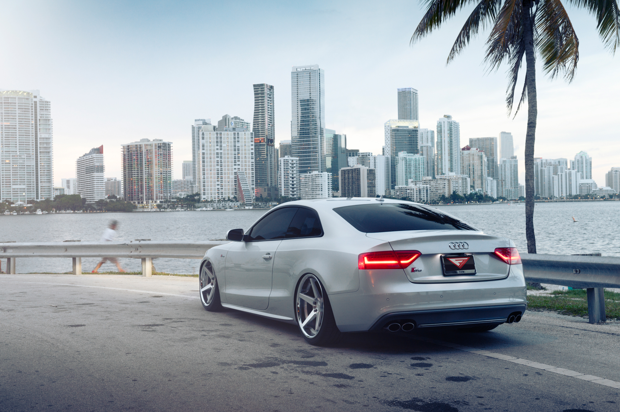 2012 Audi S5 - FR3 Machine Silver (11 of 11)