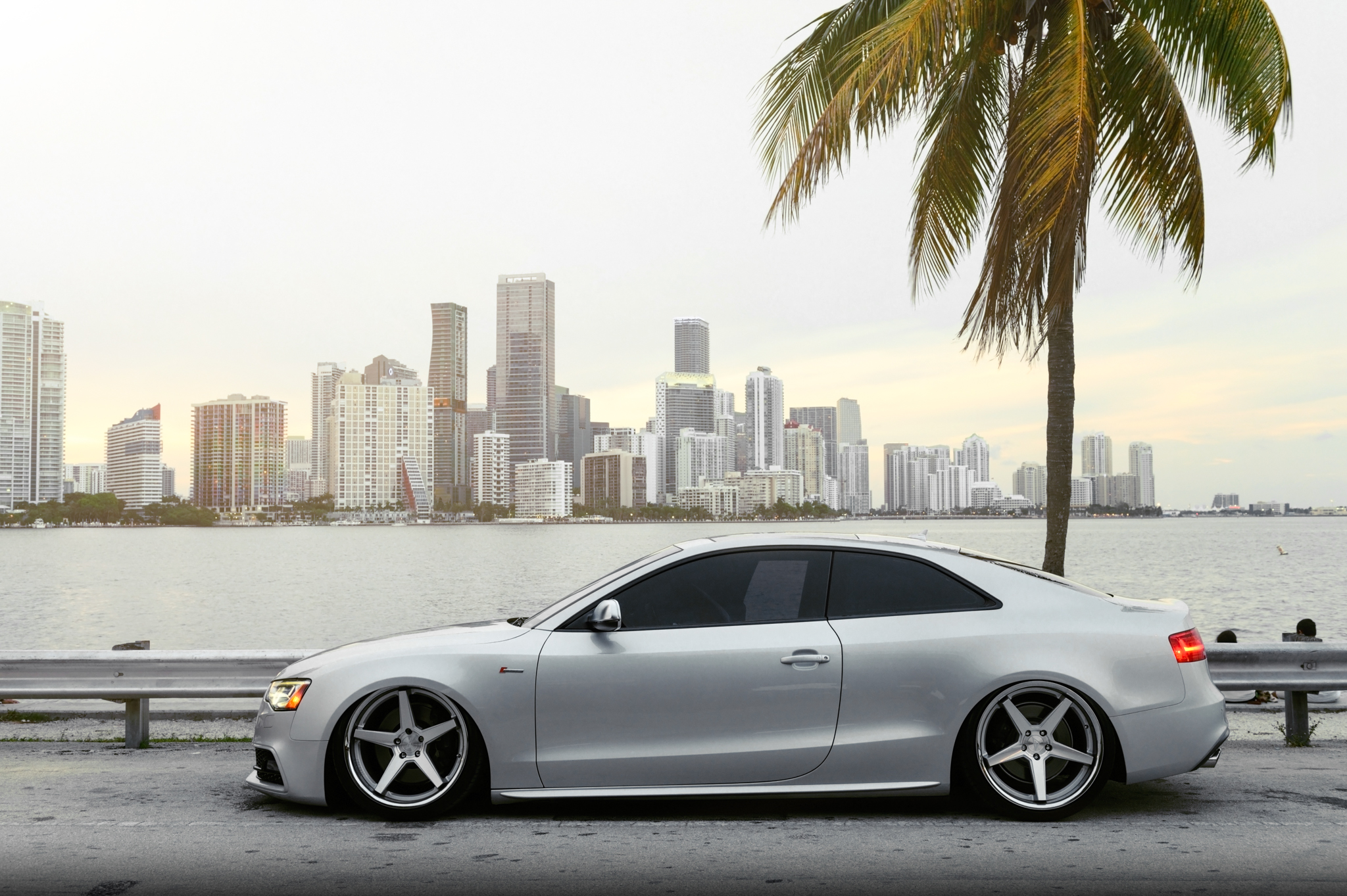 2012 Audi S5 - FR3 Machine Silver (9 of 11)