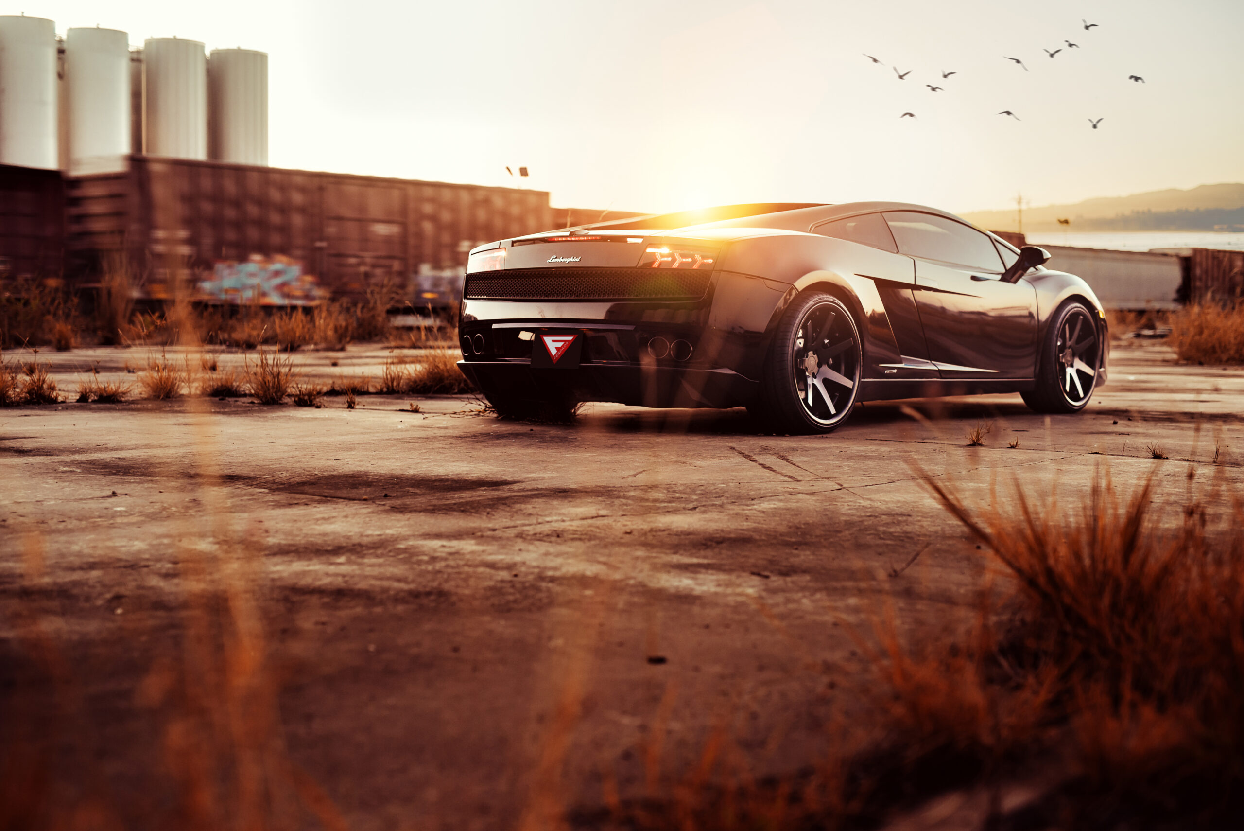 Theo-Graphics - Ferrada Lamborghini (Full Res) (25 of 25)