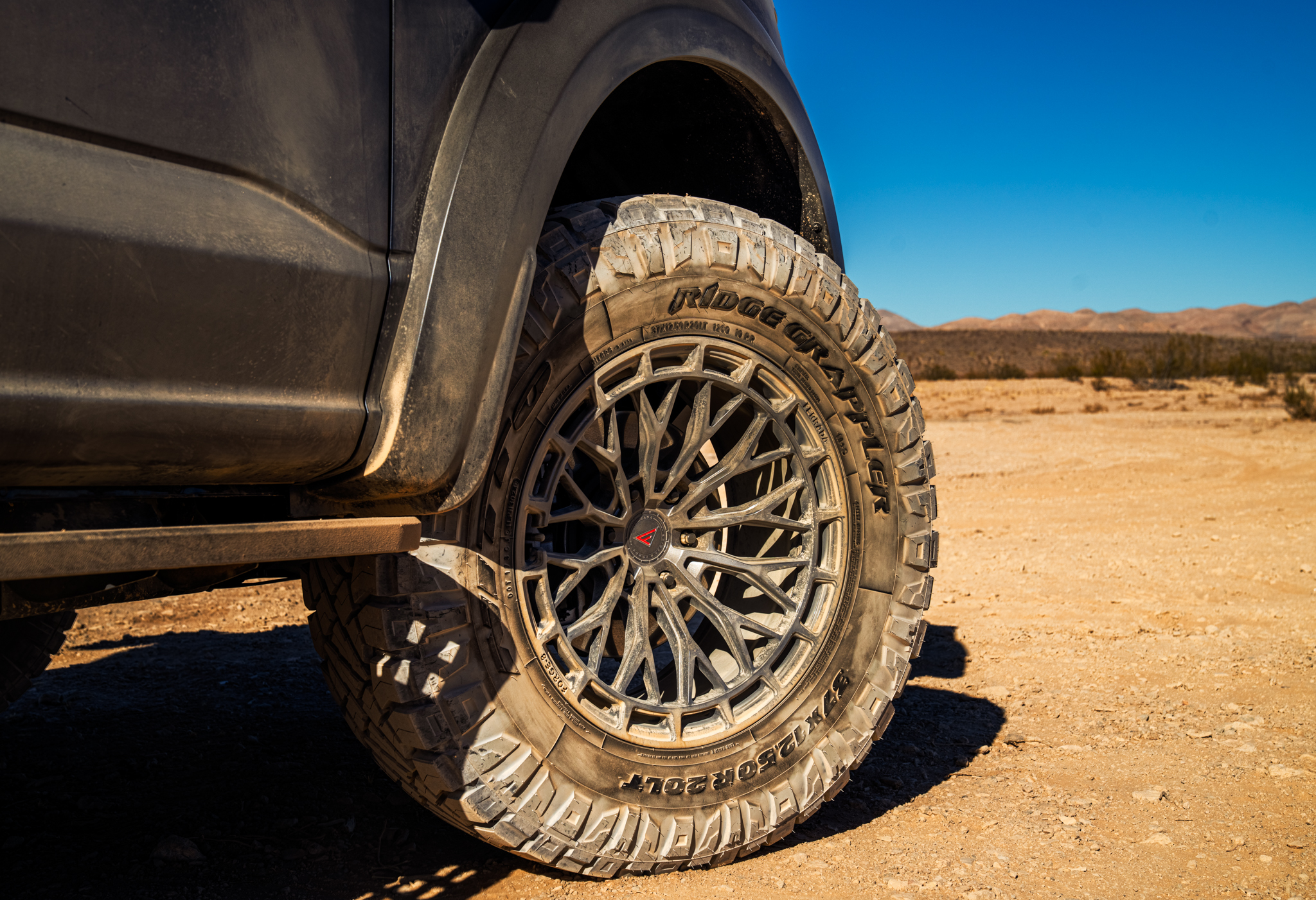 Raptor R - FTR!2 GG (3 of 6)