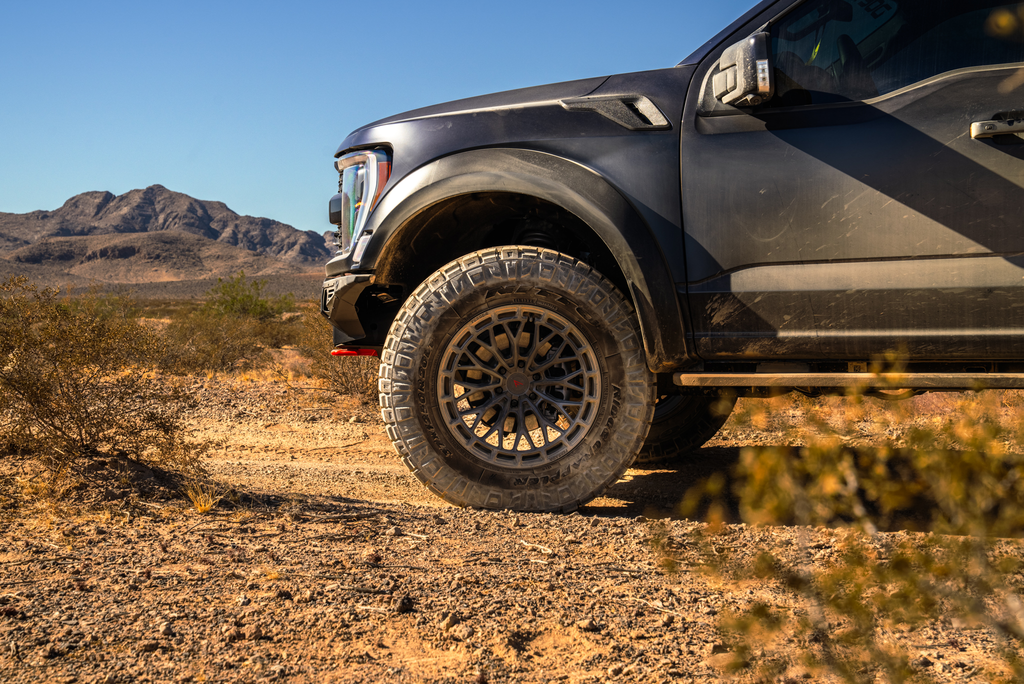 Raptor R - FTR!2 GG (6 of 6)