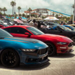Mustang Week – Texas