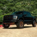 Raptor R – FTR12 MC