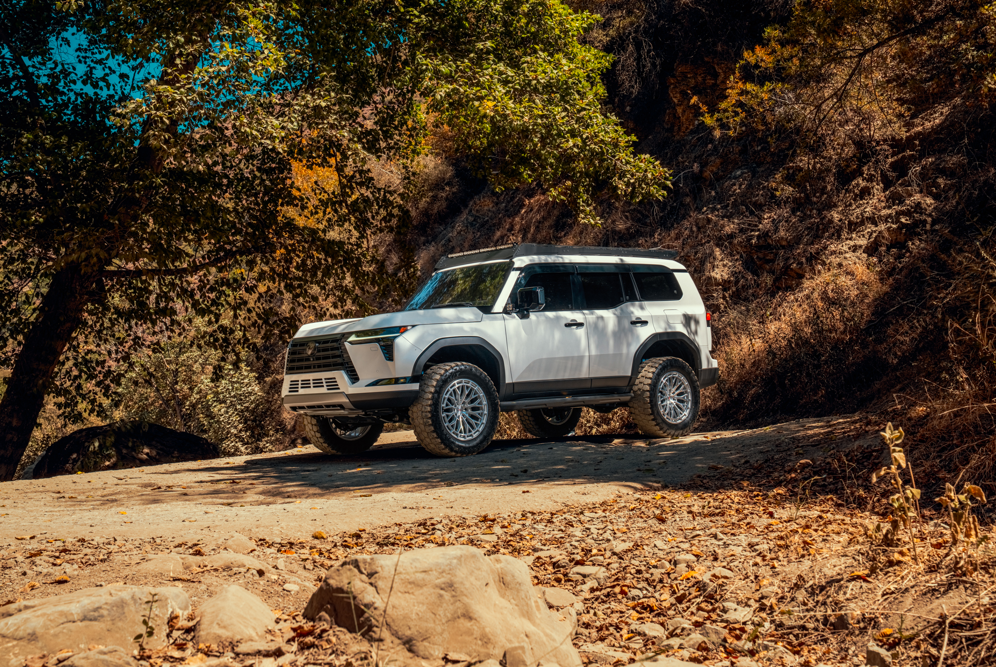 Lexus GX550 - FTR12 MS (6 of 8)