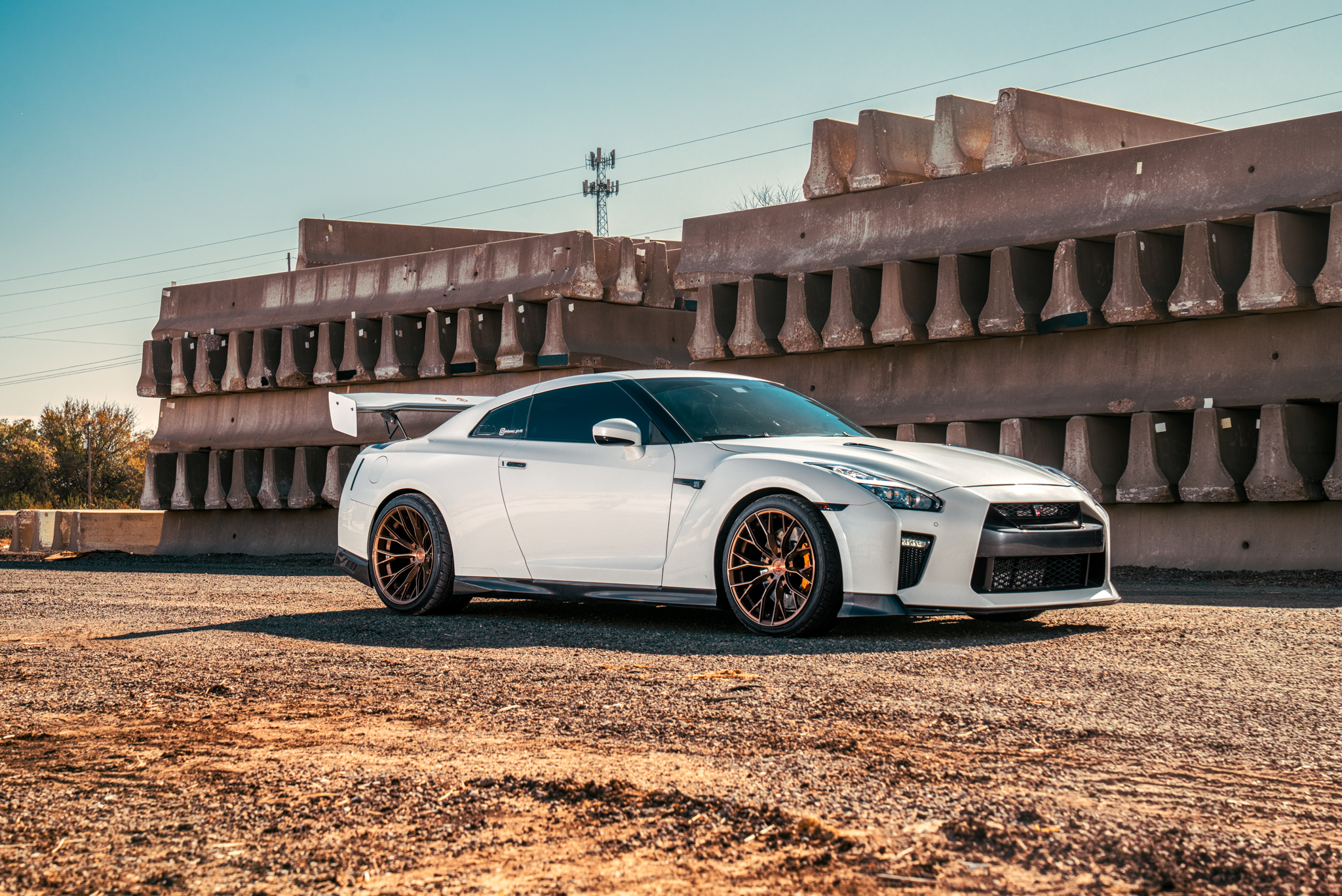 Nissan GTR - FR9 BC (1 of 7)