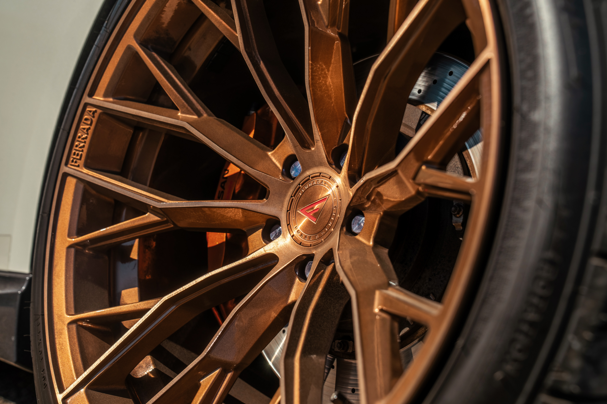 Nissan GTR - FR9 BC (3 of 7)