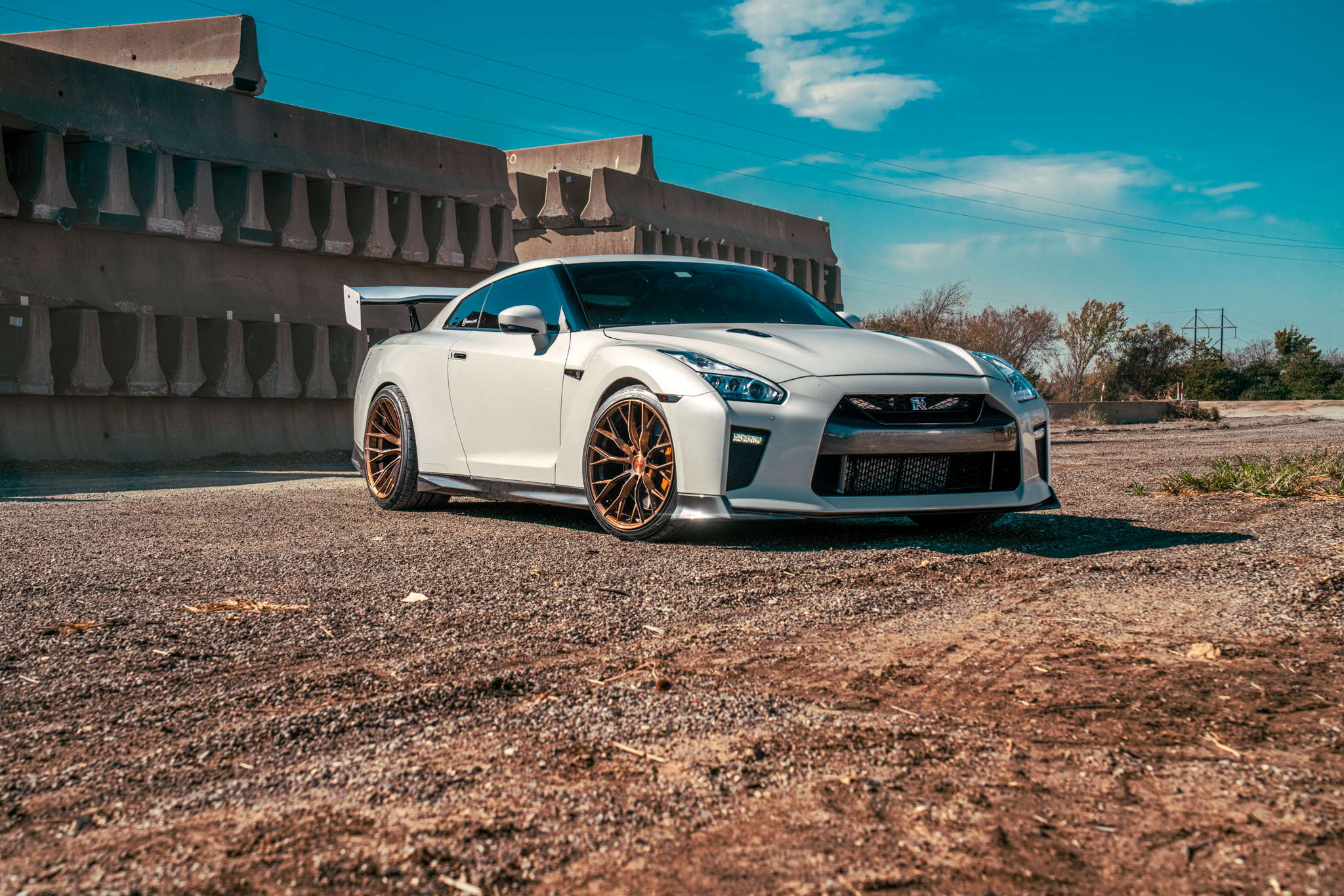 Nissan GTR - FR9 BC (5 of 7)